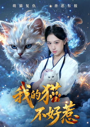 我的猫不好惹（42集）爆款短剧一起追