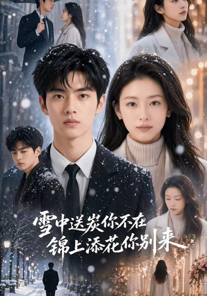短剧《雪中送炭你不在，锦上添花你别来》60集短剧在线免费畅享全集