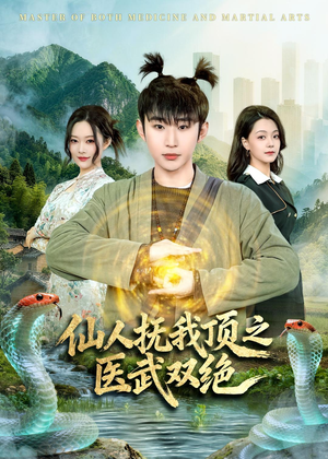 仙人抚我顶之医武双绝（66集）全网独播短剧免费看