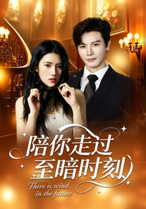 短剧《陪你走过至暗时刻》80集短剧1080P在线免费看全剧