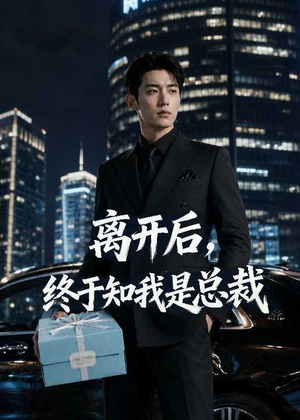 离开后，终于知我是总裁（55集）穿越短剧免费看全集