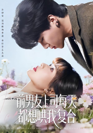 前男友上司每天都想哄我复合（77集）短剧来袭好看又上头的剧