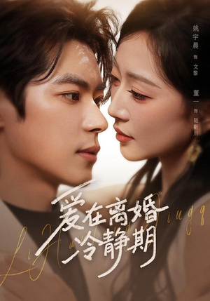 短剧《爱在离婚冷静期》73集短剧免费在线看完整剧情