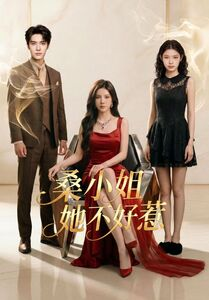 桑小姐她不好惹（103集）精彩短剧不容错过
