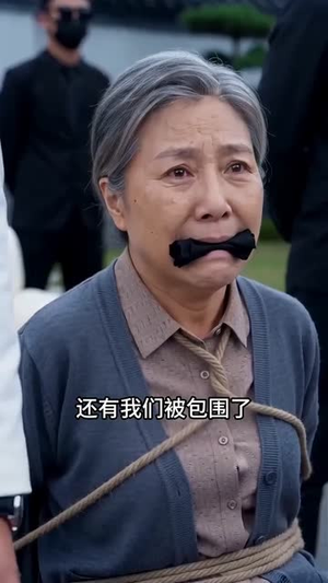 短剧《护母踏平风云》55集短剧1080P在线免费观看