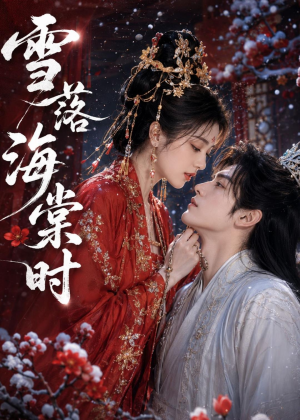 短剧《雪落海棠时》52集短剧全剧集免费在线追