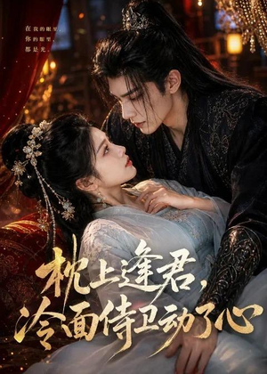 短剧《枕上逢君，冷面侍卫动了心》92集短剧免费畅享全集