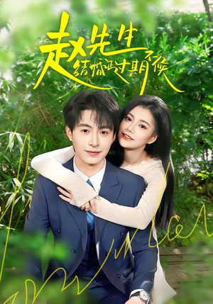 赵先生结婚证过期不候（50集）短剧全集大结局完整版