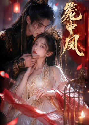 短剧《笼中凤》44集短剧超清画质在线追剧