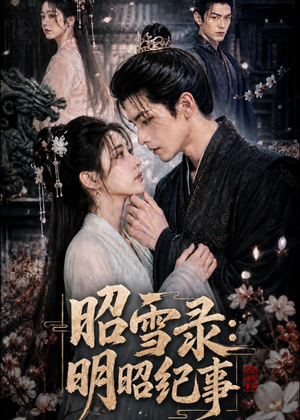 昭雪录：明昭纪事（20集）一键观看免费短剧