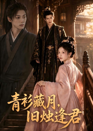 短剧《青衫藏月，旧烛逢君》56集短剧全集解锁免费看全集