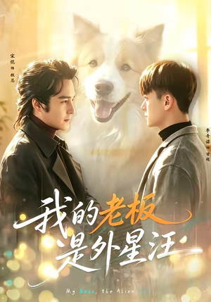 短剧《我的老板是外星汪》55集短剧超清画质免费在线追