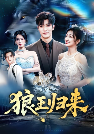 短剧《狼王归来》51集短剧免费观看完整剧情
