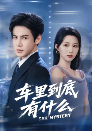 短剧《车里到底有什么》51集短剧免费在线看完整剧情