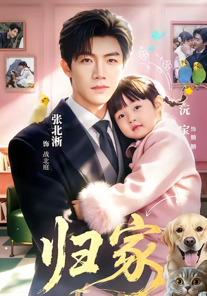 短剧《归家》70集短剧无广告在线免费看全集