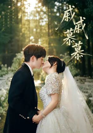 戚戚慕慕（70集）无需会员短剧免费看