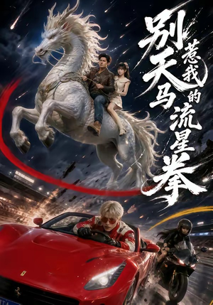 别惹我的天马流星拳（40集）热门短剧推荐古装