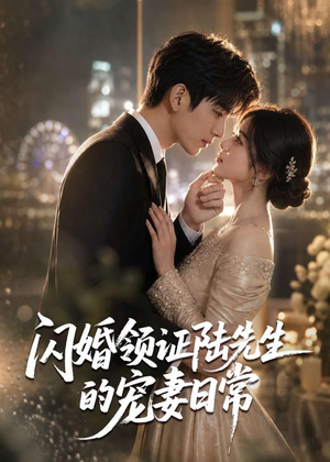 闪婚领证陆先生的宠妻日常（72集）短剧完整版免费观看