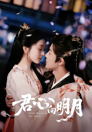 短剧《君心向明月》60集短剧在线观看无广告