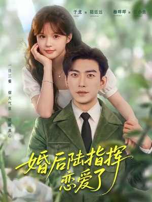 短剧《婚后陆指挥沦陷了》89集短剧网盘资源免费观看