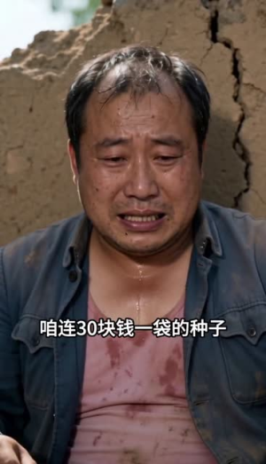 短剧《预知暴雨抢收麦子，不听我的后悔了吧》42集短剧1080P在线免费看