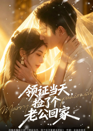 短剧《领证当天，捡了个老公回家》80集短剧1080P在线免费观影