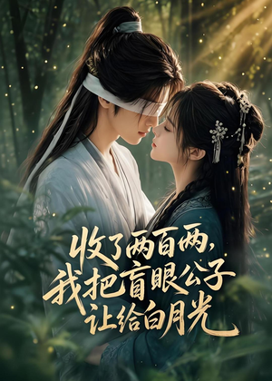 收了两百两，我把盲眼公子让给白月光（55集）短剧全集一次看个够