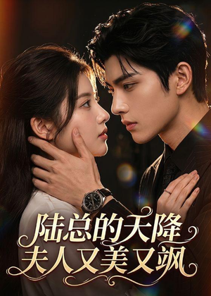 陆总的天降夫人又美又飒（80集）真的太精彩了短剧合集