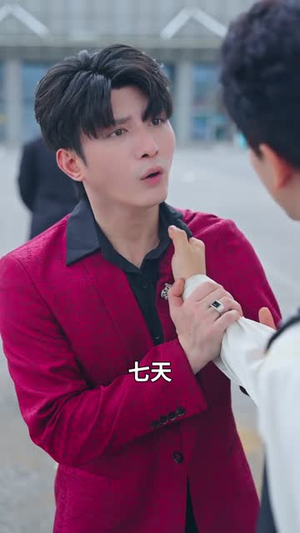 短剧《我真不是世外高人》75集短剧超清画质在线追全集