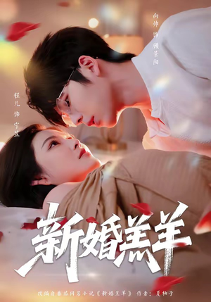 短剧《新婚羔羊》89集短剧完整版高清在线观看