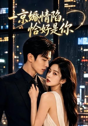短剧《一京婚情陷，恰好是你》100集短剧在线观看全集无删减