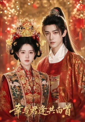 短剧《幸与君逢共白首》79集短剧免费观看全集不卡顿