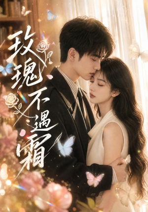 短剧《玫瑰不遇霜》42集短剧全集免费在线观看不卡顿