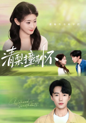 清梨撞满怀（77集）超好看的短剧强烈推荐