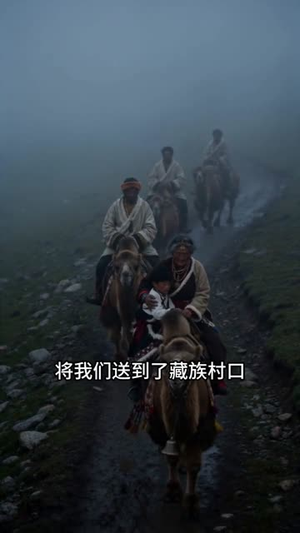藏寨熊影（43集）短剧越看越精彩越看越上头