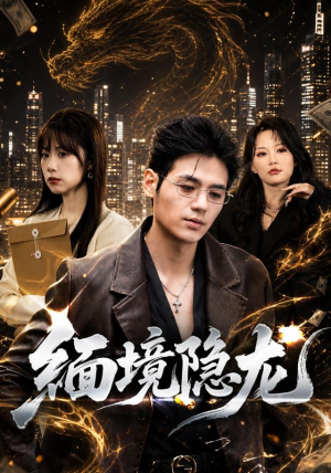 短剧《缅境隐龙》65集短剧全集资源免费观看