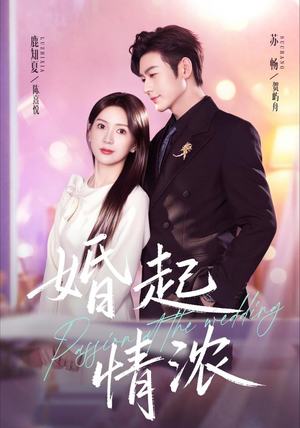 婚起情浓（99集）每日短剧追不停