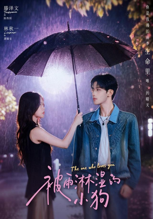 被雨淋湿的小狗（80集）好看又上头的热播短剧推荐