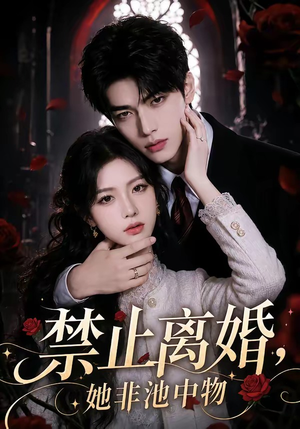 禁止离婚，她非池中物（144集）免费观看到短剧大结局